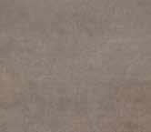 planet-muschio.jpg -